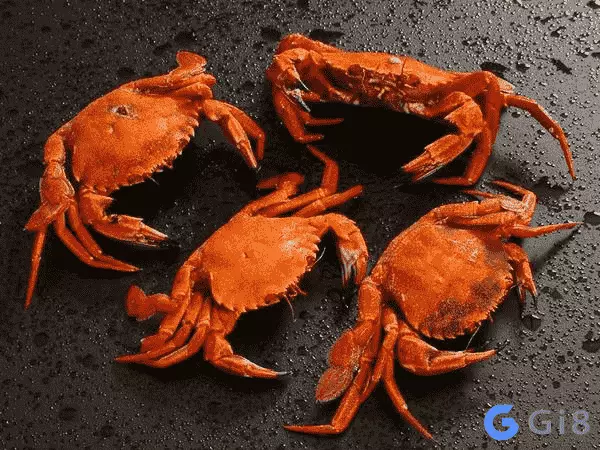 Mơ ăn cua là số mấy – Ý nghĩa Mơ ăn cua là số mấy - Ý nghĩa