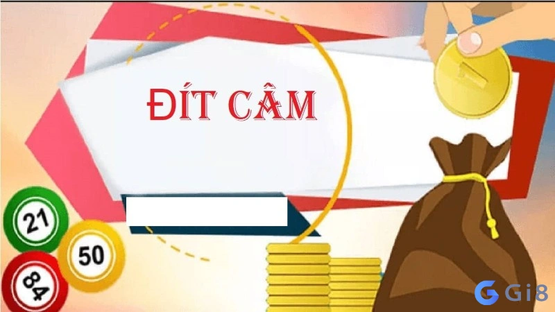 cam dit 8 cam dit 8
