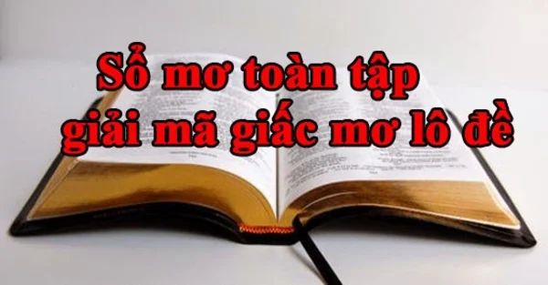Sổ mơ đề là gì? Sổ mơ đề là gì?