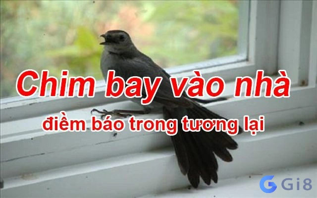 chim vào nhà báo hiệu điều gì chim vào nhà báo hiệu điều gì