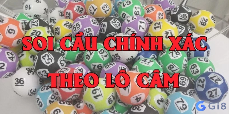 cam dit 8 cam dit 8