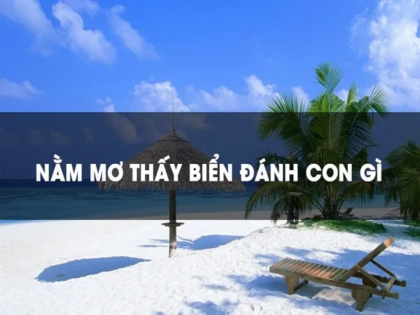 Giải mã ý nghĩa giấc mơ thấy biển Giải mã ý nghĩa giấc mơ thấy biển