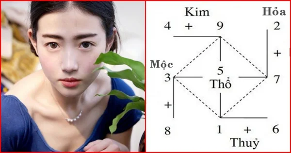 Chi tiết đặc điểm từ việc áp dụng các con số hợp với mệnh Chi tiết đặc điểm từ việc áp dụng các con số hợp với mệnh