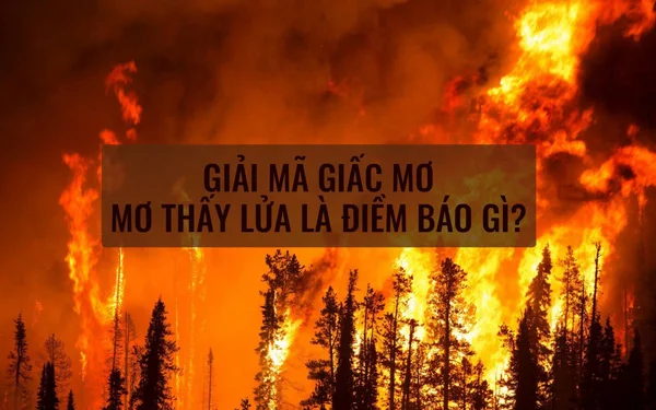 Ý nghĩa từ việc mơ thấy lửa cháy đối với từng người Ý nghĩa từ việc mơ thấy lửa cháy đối với từng người
