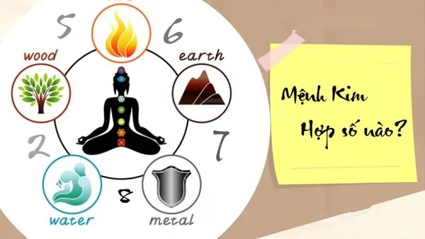 Người mệnh Kim hợp số nào – số 7 may mắn Người mệnh Kim hợp số nào - số 7 may mắn