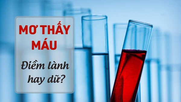 Danh sách bật mí ngủ mơ thấy máu đánh con gì Danh sách bật mí ngủ mơ thấy máu đánh con gì