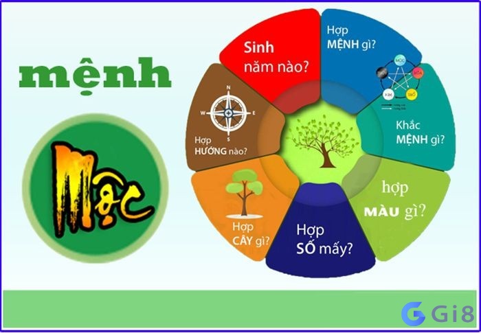 Mệnh mộc có những đặc điểm gì? Mệnh mộc có những đặc điểm gì?