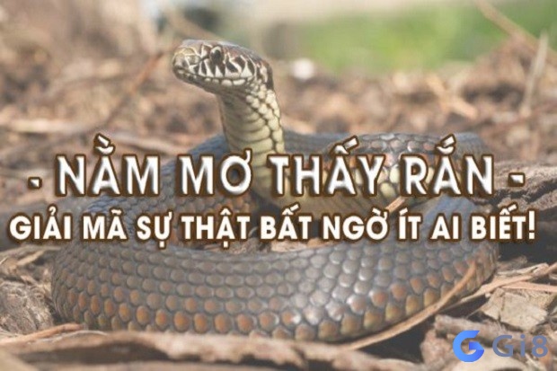 Con rắn trong mơ là điềm gì? Con ran so may?