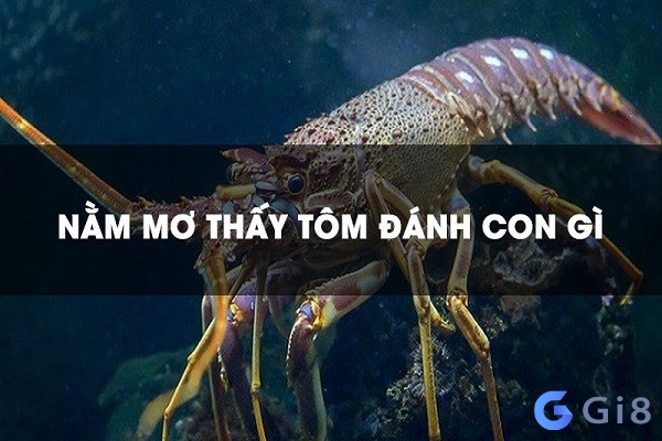 Mơ thấy tôm đánh con số gì? Mỗi giấc mơ ẩn chứa con số may mắn khác nhau Mơ thấy tôm đánh con số gì? Mỗi giấc mơ ẩn chứa con số may mắn khác nhau