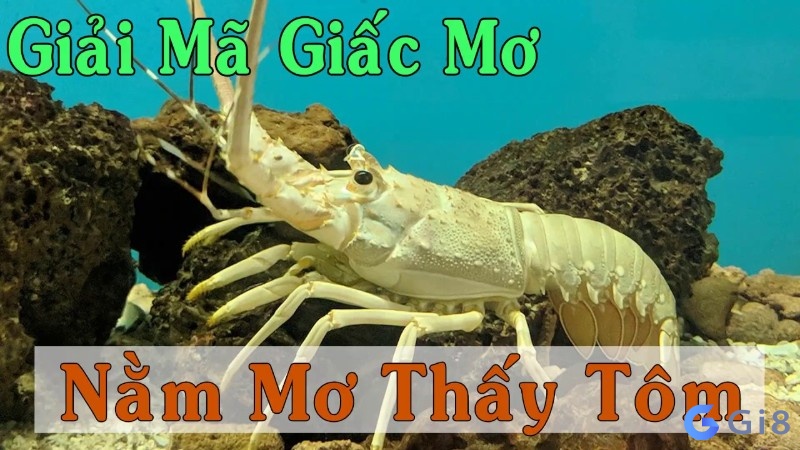Giải mã giấc mơ thấy tôm mang đến dự cảm gì cho tương lai chủ nhân? Giải mã giấc mơ thấy tôm mang đến dự cảm gì cho tương lai chủ nhân?
