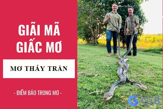 Giải mã những giấc mơ về con trăn Giải mã những giấc mơ về con trăn