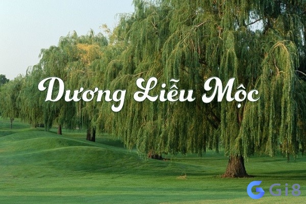 Mệnh dương liễu mộc là gì? Mệnh dương liễu mộc là gì?