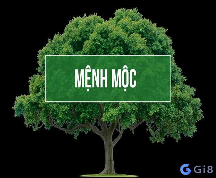 Người mệnh mộc kị số nào? mệnh mộc kị số mấy
