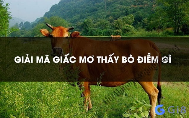 Điềm báo về các giấc mơ thấy bò Điềm báo về các giấc mơ thấy bò