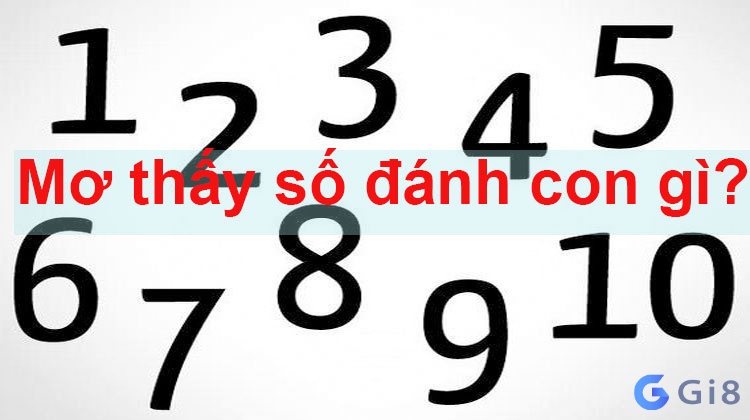 Mơ thấy con số đánh con gì? Mơ thấy con số đánh con gì?