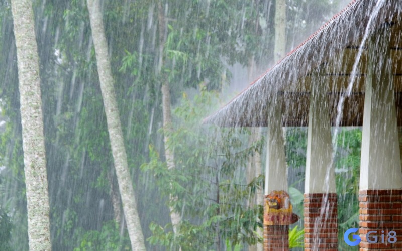 Mơ mưa lớn là dấu hiệu của sự bất trắc mơ thấy mưa lớn