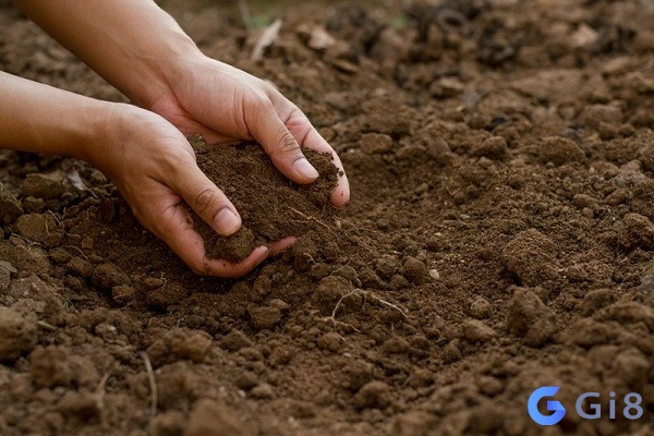 Đặc điểm của người mệnh thổ Đặc điểm của người mệnh thổ