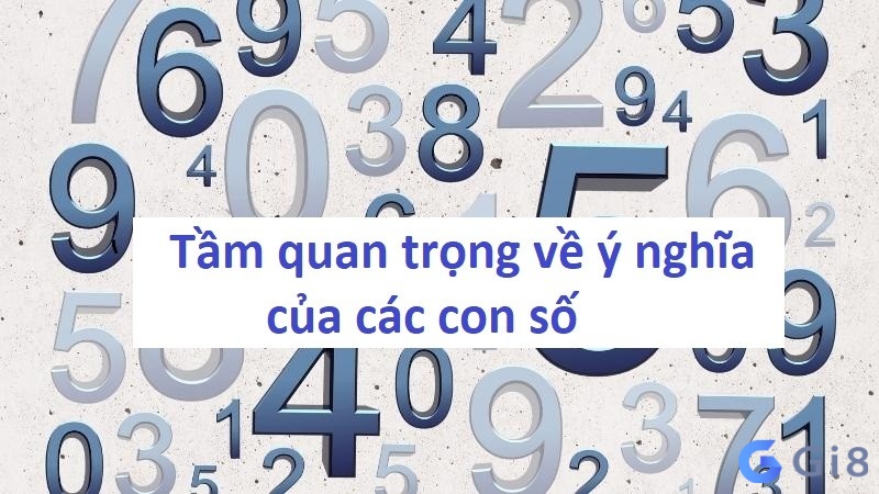 Tầm quan trọng của các số trong lô đề Tầm quan trọng của các số trong lô đề