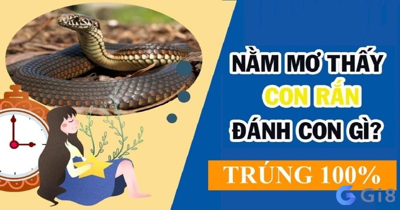 Chiêm bao thấy rắn đuổi đánh con gì? Chiêm bao thấy rắn đuổi đánh con gì?