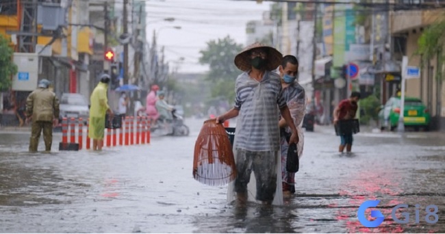 Mơ thấy nước ngập đường nhiều cá báo hiệu kinh doanh nhiều tài lộc Mơ thấy nước ngập đường nhiều cá báo hiệu kinh doanh nhiều tài lộc