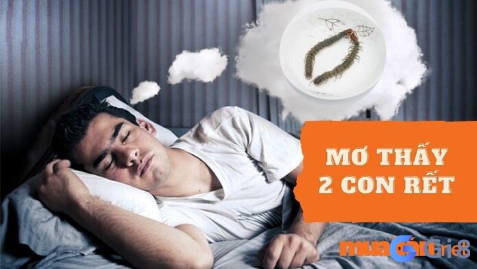 Nằm mơ thấy 2 con rết – điềm báo gì – liệu nằm mơ thấy con rết đánh số gì chuẩn nhất? Nằm mơ thấy 2 con rết - điềm báo gì? Nằm mơ thấy con rết đánh số gì chuẩn nhất?