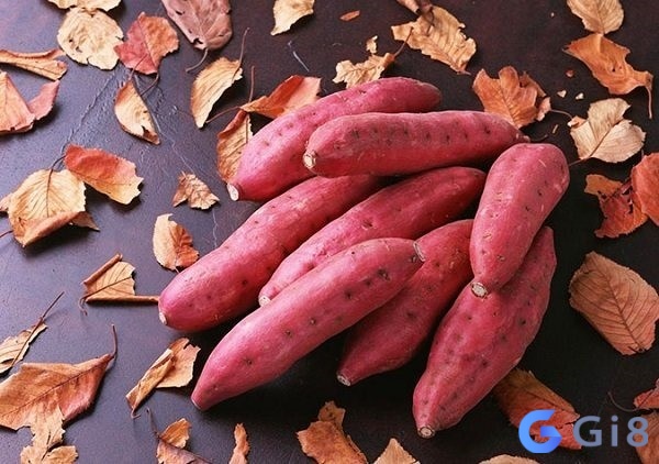 Mơ thấy khoai lang đánh con gì được nhiều anh em đề thủ quan tâm Mơ thấy khoai lang đánh con gì được nhiều anh em đề thủ quan tâm