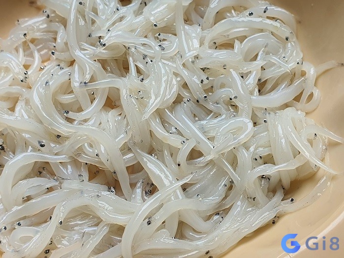 Mơ thấy cá trắng đánh đề con gì còn tùy hình ảnh ra sao Mơ thấy cá trắng đánh đề con gì còn tùy hình ảnh ra sao