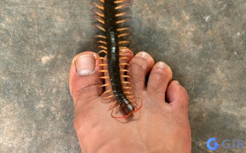 Nắm rõ điềm báo để chuẩn bị cho tương lai Nắm rõ điềm báo để chuẩn bị cho tương lai