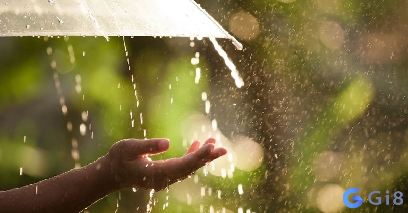 Tìm hiểu nằm mơ thấy trời mưa đánh số mấy cùng Gi88 Tìm hiểu nằm mơ thấy trời mưa đánh số mấy cùng Gi88
