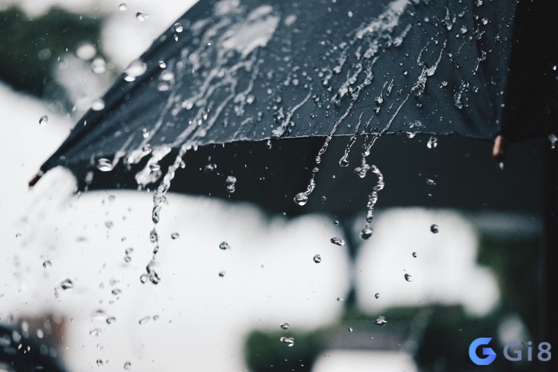 Mơ thấy trời mưa mang lại cơ hội cải vận số Mơ thấy trời mưa mang lại cơ hội cải vận số