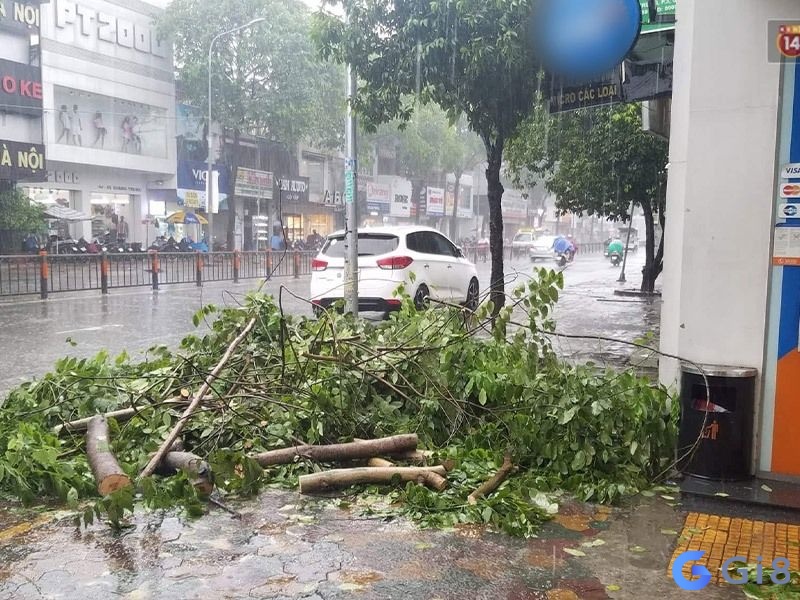 Hình dung rõ trải nghiệm trong mơ vào đêm qua để phân tích Hình dung rõ chi tiết mơ để giải mã đúng nhất