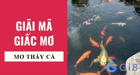 Mỗi giấc mơ về cá khác nhau sẽ mang đến một dự báo rất riêng Mỗi giấc mơ về cá khác nhau sẽ mang đến một dự báo rất riêng