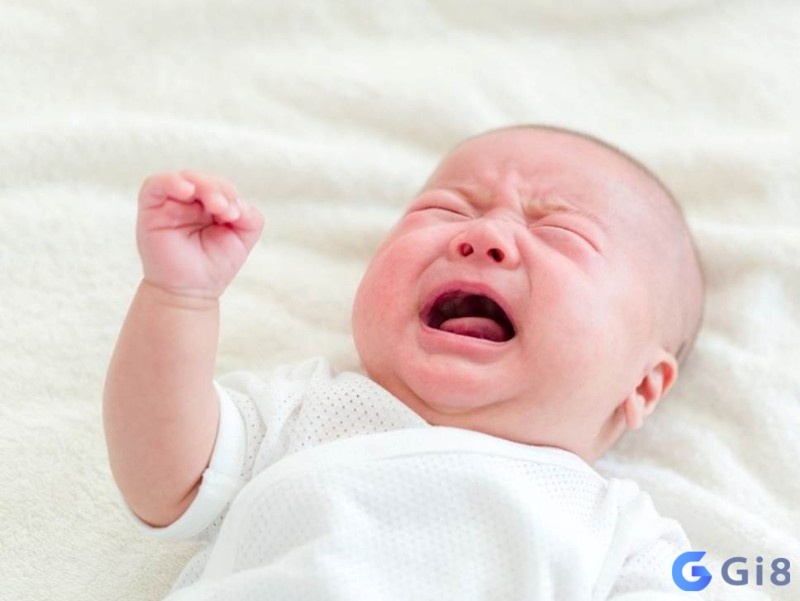 Gia chủ ghi nhớ điềm báo để chuẩn bị cho chuyện tương lai Gia chủ ghi nhớ điềm báo để chuẩn bị cho chuyện tương lai