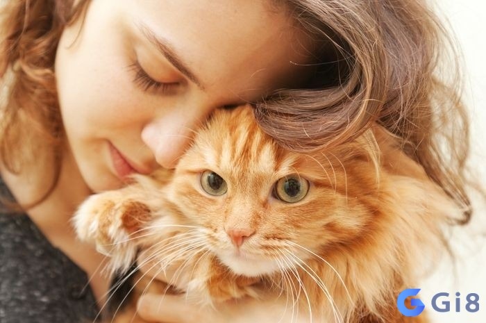 Mơ thấy mình nuôi mèo báo hiệu rằng bạn đang trong quá trình xây dựng cuộc sống theo cách riêng